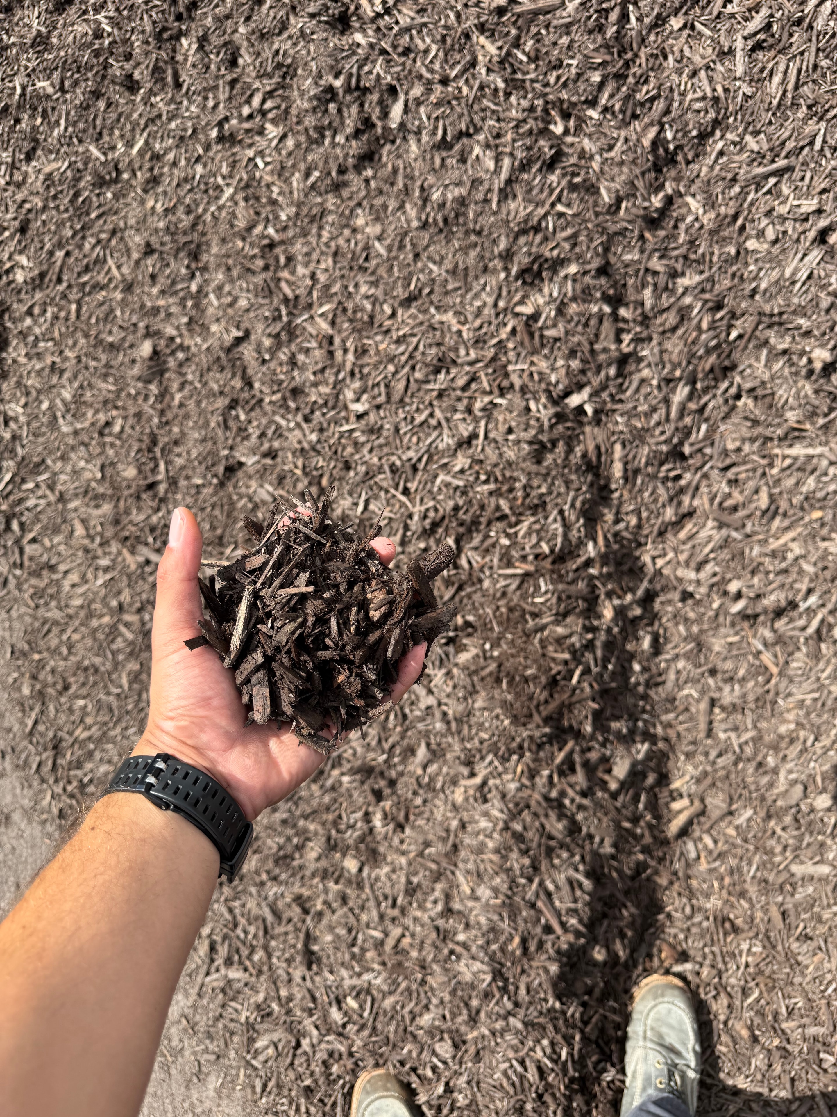 Dark brown dyed wood chips for landscaping